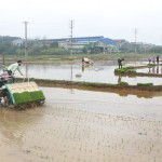Thời tiết thuận lợi cho nông dân Thủ đô gieo cấy lúa xuân